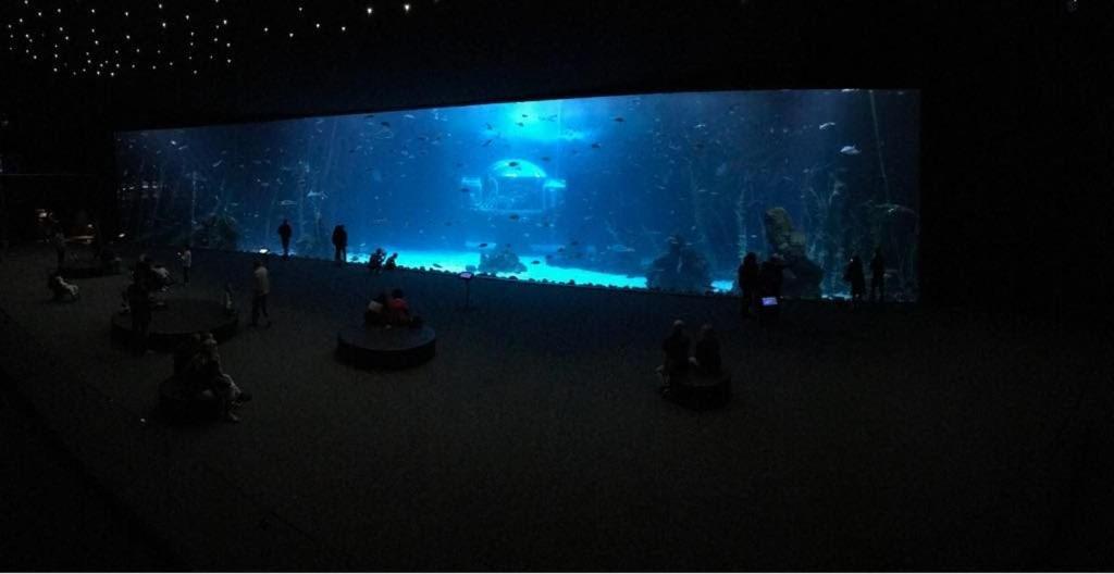 Las Canteras Aquarium Las Palmas de Gran Canaria Dış mekan fotoğraf